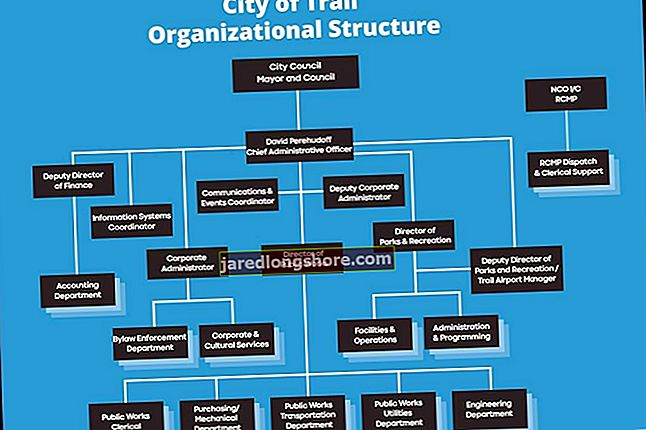 
   Jaotatud organisatsiooniline struktuur
  