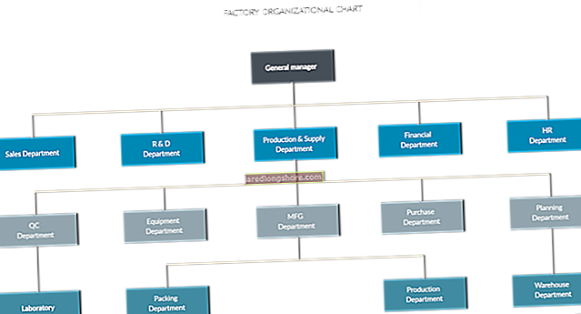 
   Hierarchinė organizacinė struktūra
  