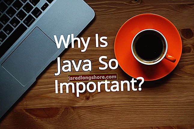 
   Miksi Java on tärkeä?
  